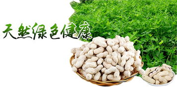 區(qū)塊鏈溯源 揭開有機(jī)農(nóng)產(chǎn)品的偽裝術(shù)，重塑食用農(nóng)產(chǎn)品批發(fā)新生態(tài)