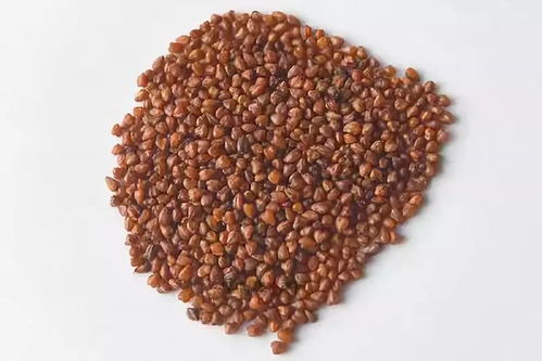 海外熱銷，泰州三農(nóng)產(chǎn)品基地榮膺省級(jí)示范，這些特產(chǎn)你嘗過嗎？