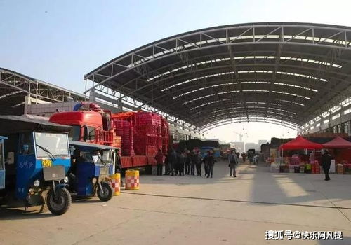 農(nóng)產(chǎn)品批發(fā)行業(yè)數(shù)字化經(jīng)營之路 食用農(nóng)產(chǎn)品初加工的轉(zhuǎn)型與挑戰(zhàn)